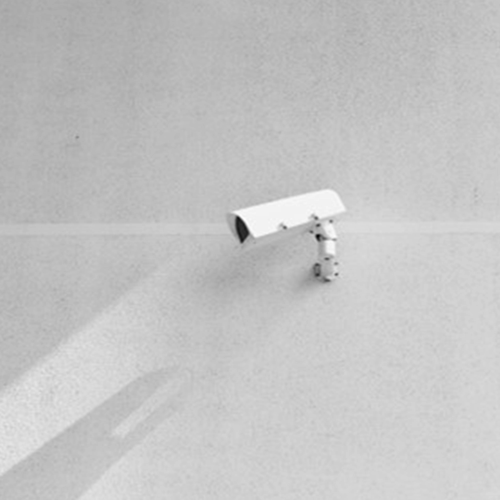 image-3 copia